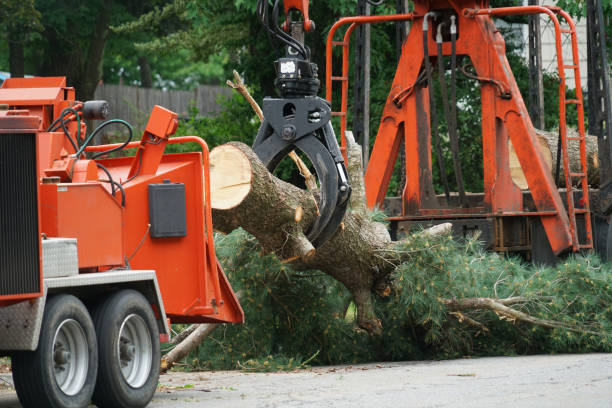 Seasonal Cleanup (Spring/Fall) in Ballard, UT